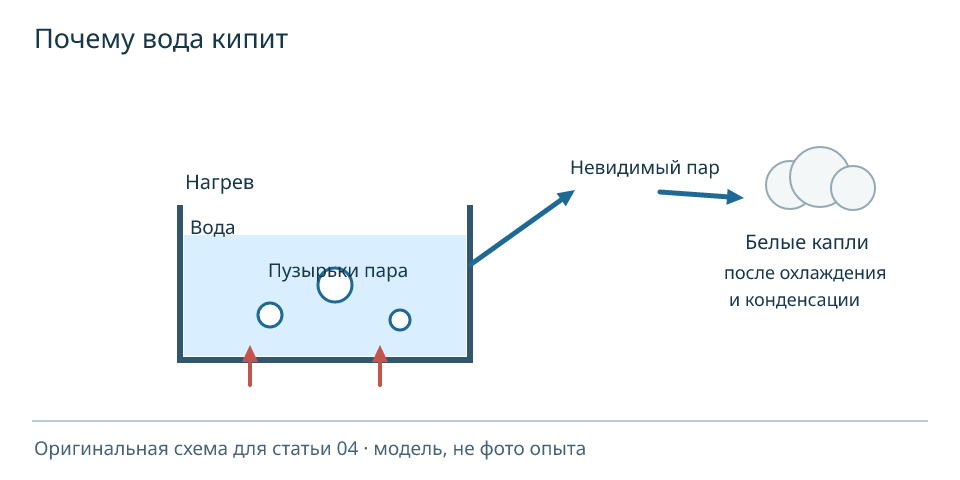 Пузырьки пара растут в нагретой воде; над поверхностью невидимый пар после охлаждения и конденсации может превратиться в белое облачко капель. Модель, не фото опыта.