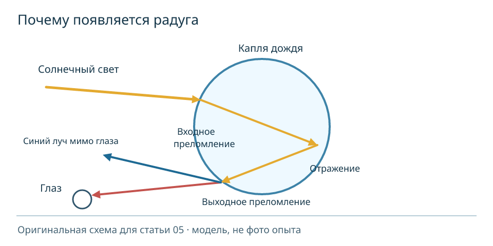 Свет преломляется и отражается внутри капли: один цветной луч попадает в глаз, другой от этой капли проходит мимо. Цвета дуги приходят от разных капель. Модель, не фото опыта.